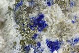 Lazurite, Pyrite and Muscovite in Marble Matrix - Afghanistan #111795-2